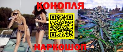 индика Бузулук