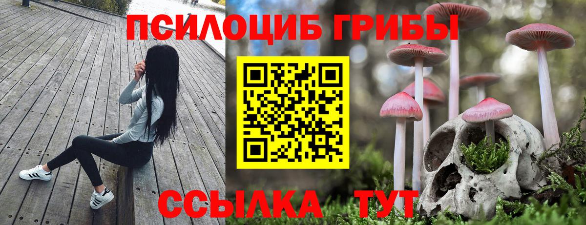 Галлюциногенные грибы Psilocybe Россошь