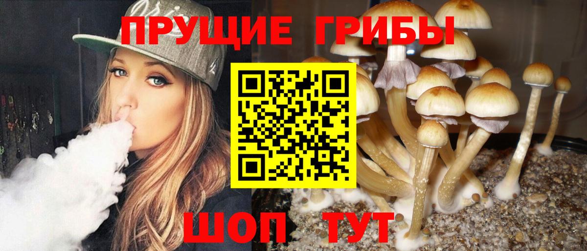Галлюциногенные грибы Psilocybe  Вход с VPN  Россошь 